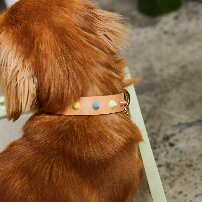 Smooth Spike Leather Dog Collar - Sorbet Tan