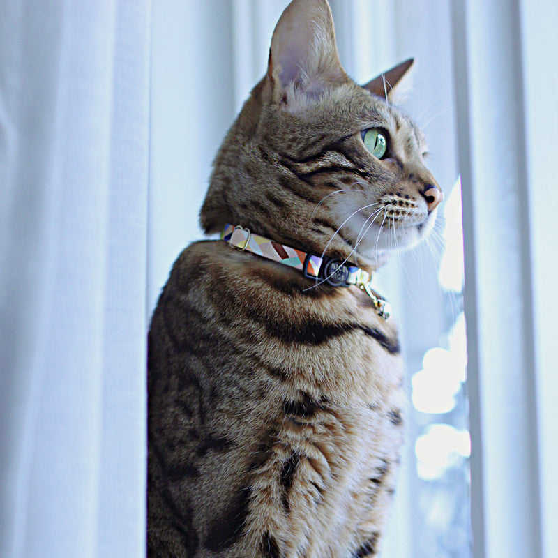 Sunday Best Leather Cat Collar