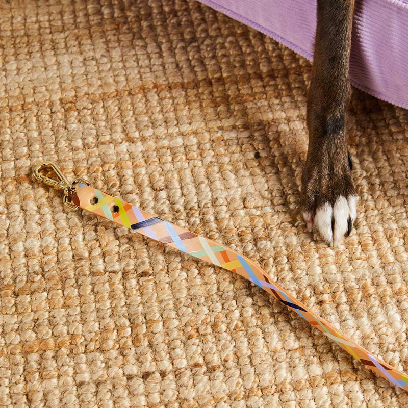 Sunday Best Leather Leash