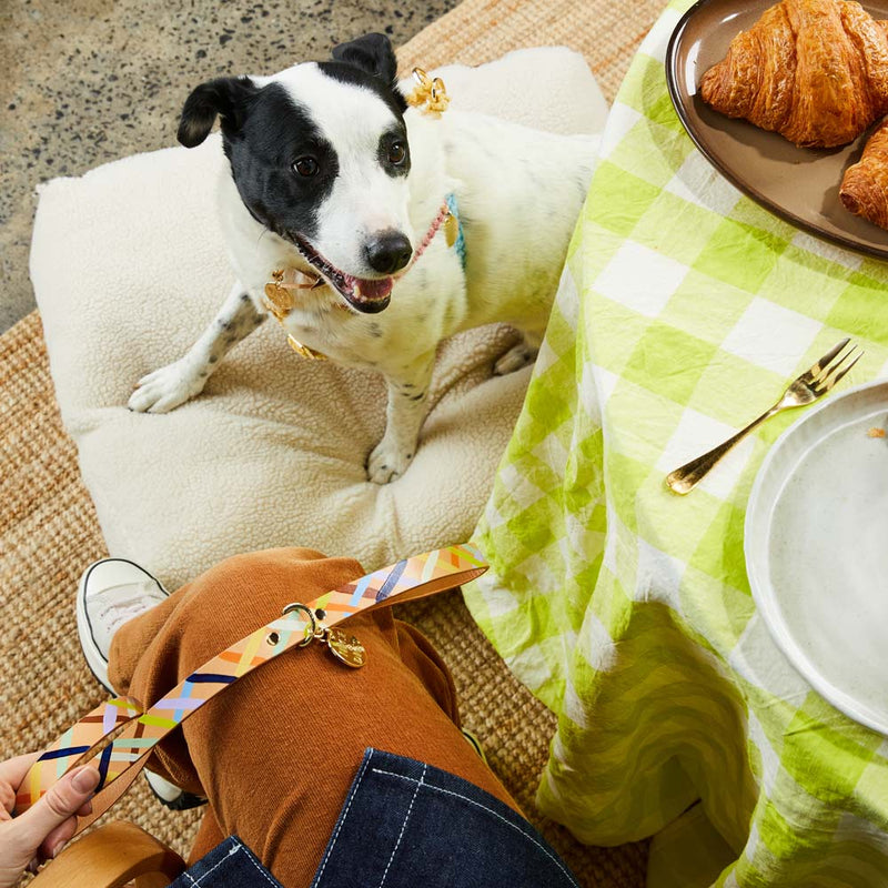 Sunday Best Leather Leash