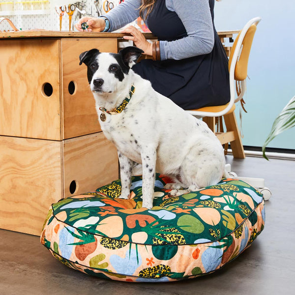 Boulder Canyon Dog Bed