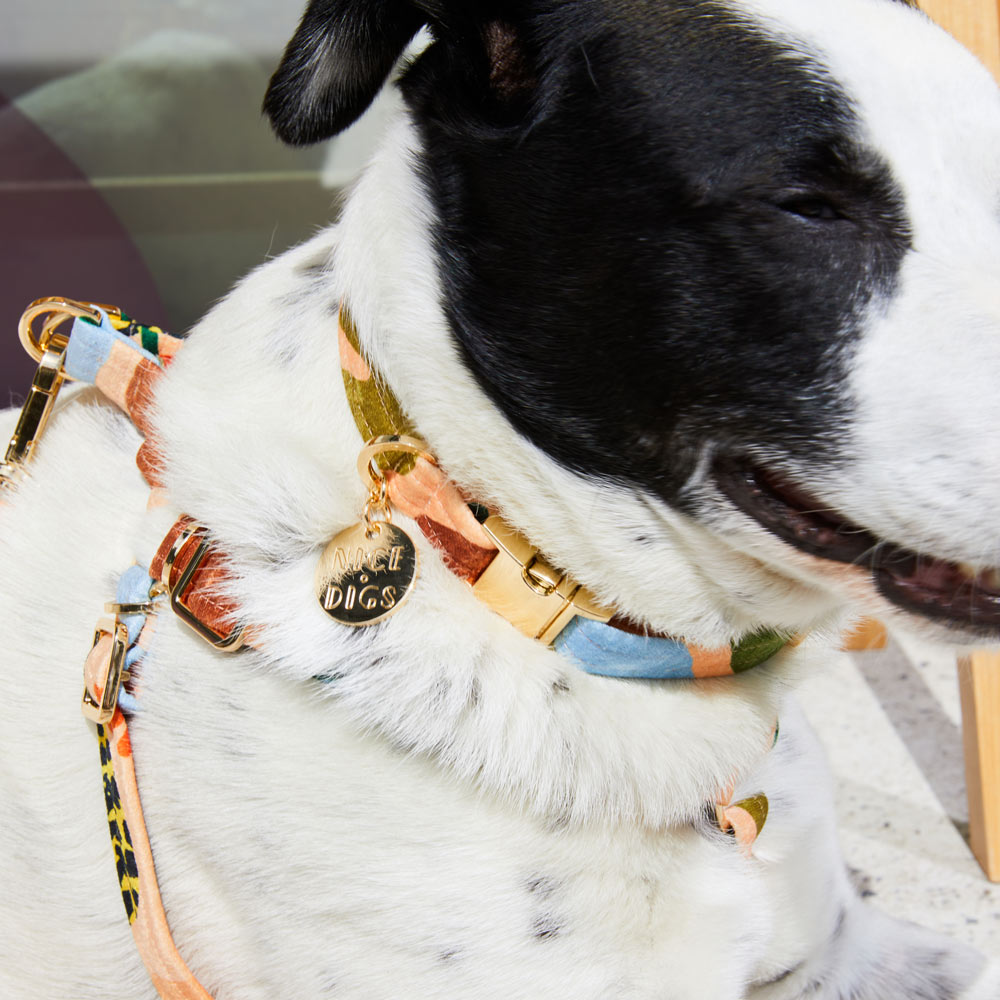 Boulder Canyon Printed Dog Collar - Peach