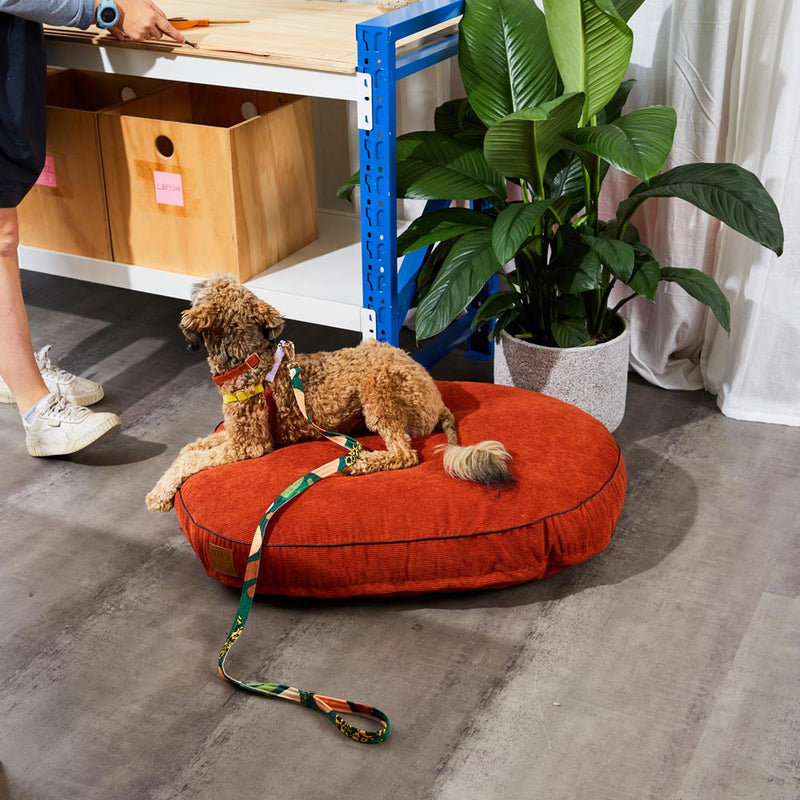 Boulder Canyon Printed Leash - Moss