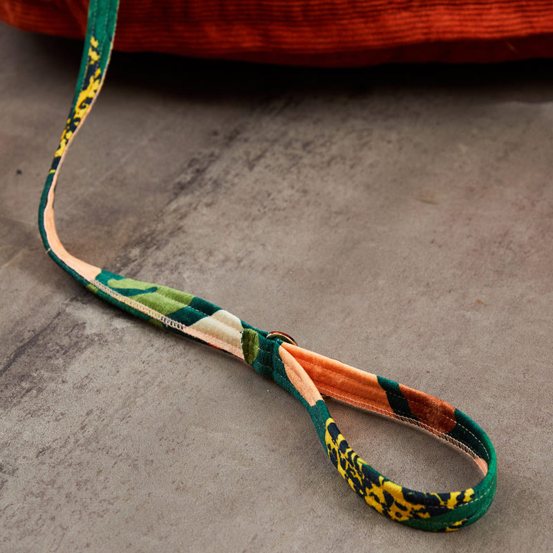 Boulder Canyon Printed Leash - Moss