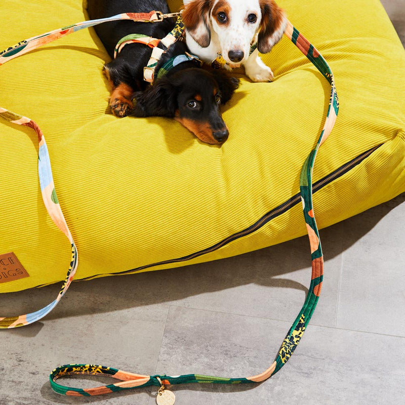 Boulder Canyon Printed Leash - Moss