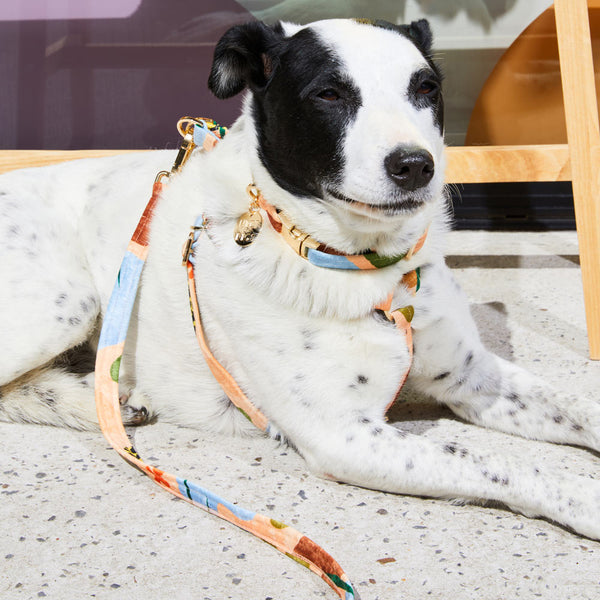 Boulder Canyon Printed Leash - Peach