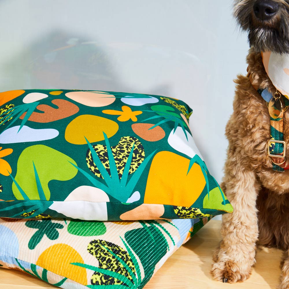 Boulder Canyon Cushion - Moss