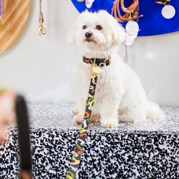Midnight Mirage Leather Leash