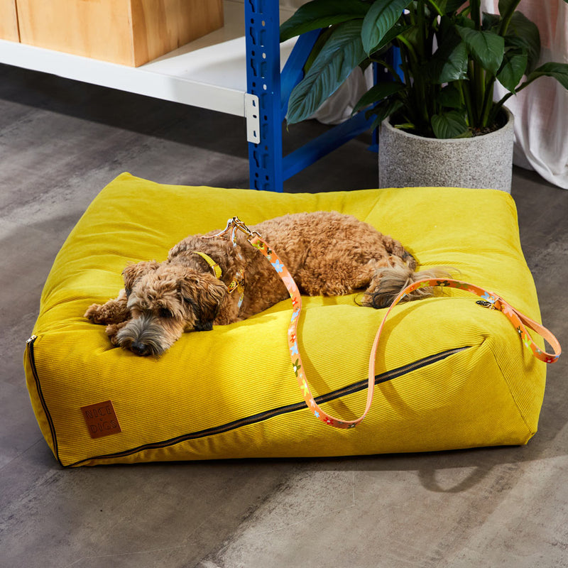 Posie Leather Leash - Wildflower