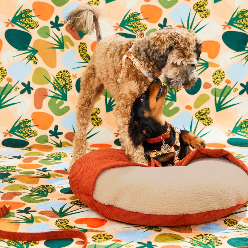 Cord Snuggle Dog Bed - Rust