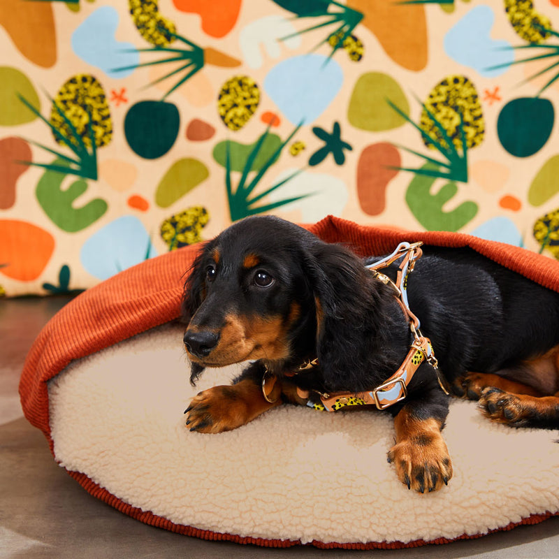 Cord Snuggle Dog Bed - Rust