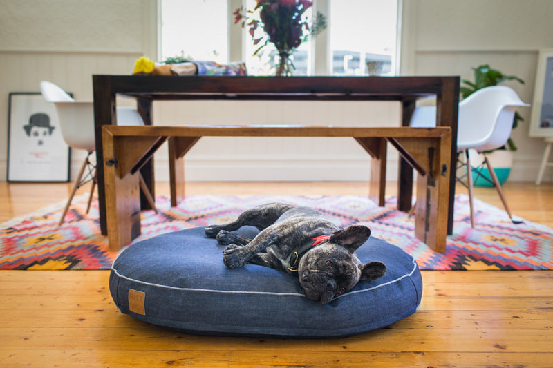Blue Jean Baby Denim Dog Bed