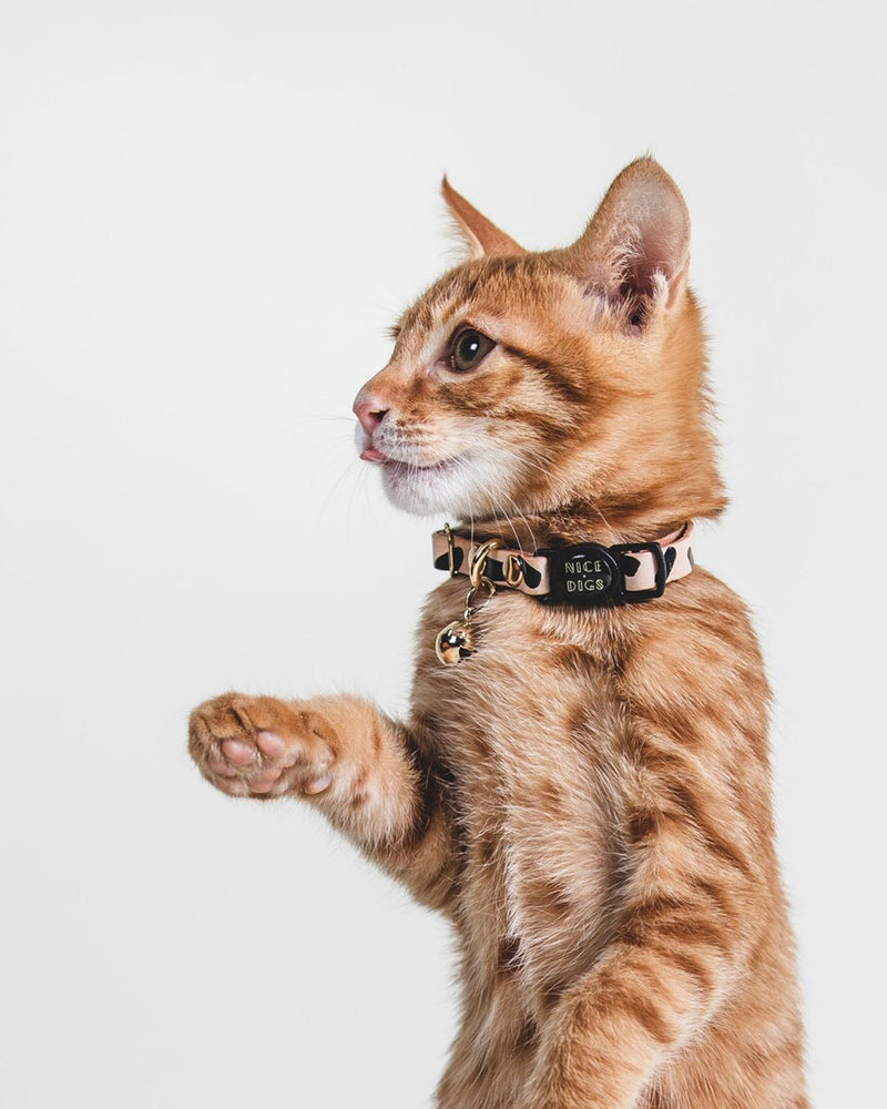 Tiggy Leather Cat Collar - Black