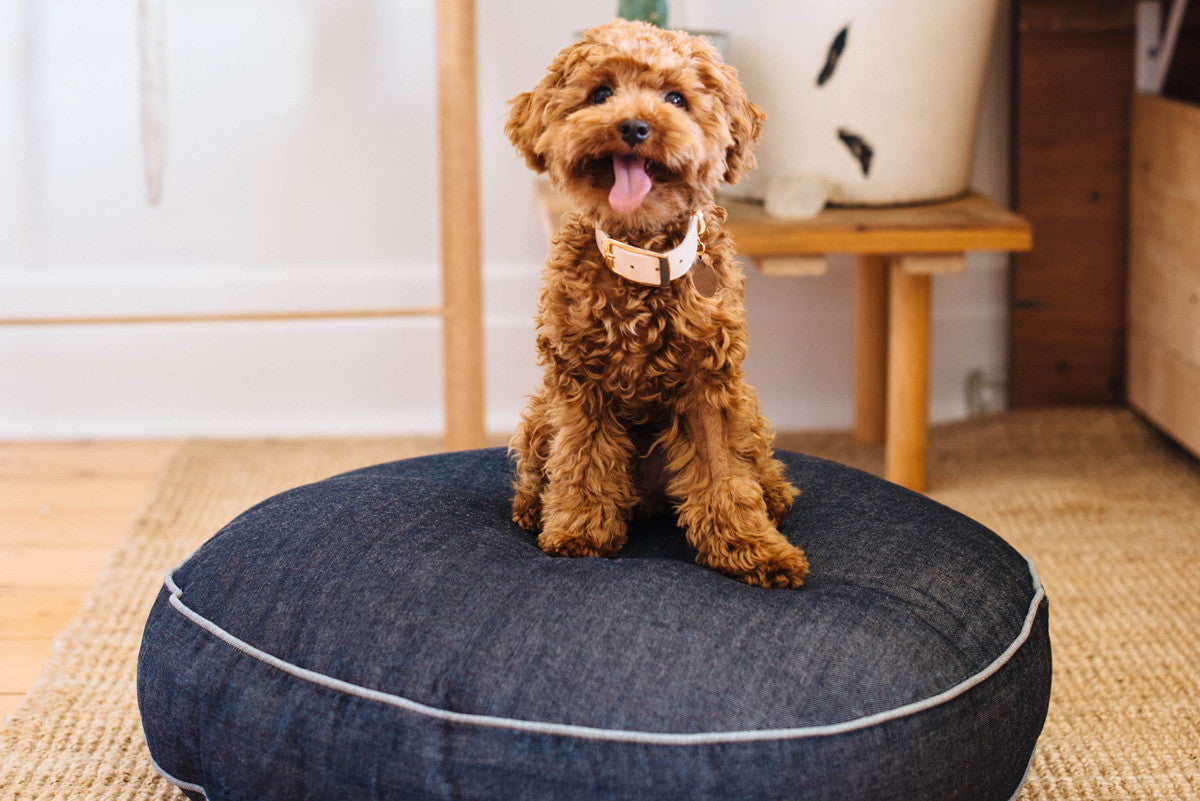 Oval Dog Bed Cover - ONLY S SIZES LEFT