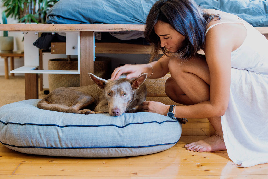 Oval Dog Bed Cover - ONLY S SIZES LEFT