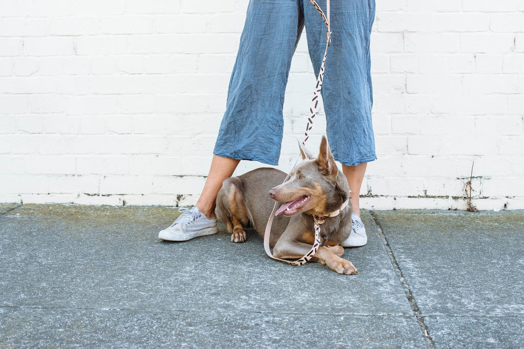 Tiggy Leather Leash - Black